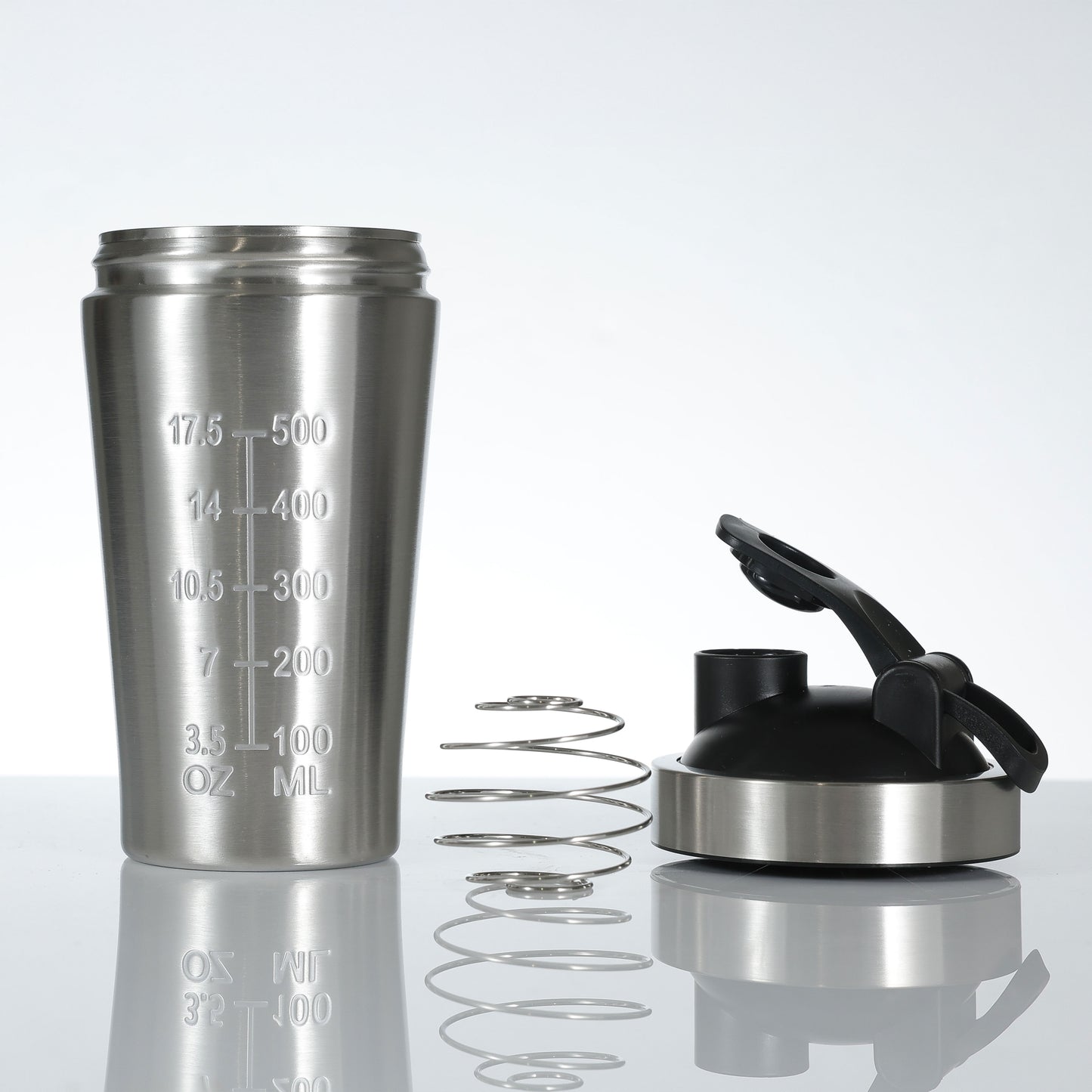 Dayfuel Stainless Steel Shaker